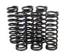 Lataa kuva Galleria-katseluun, Clutch Spring Kit (39-1509)