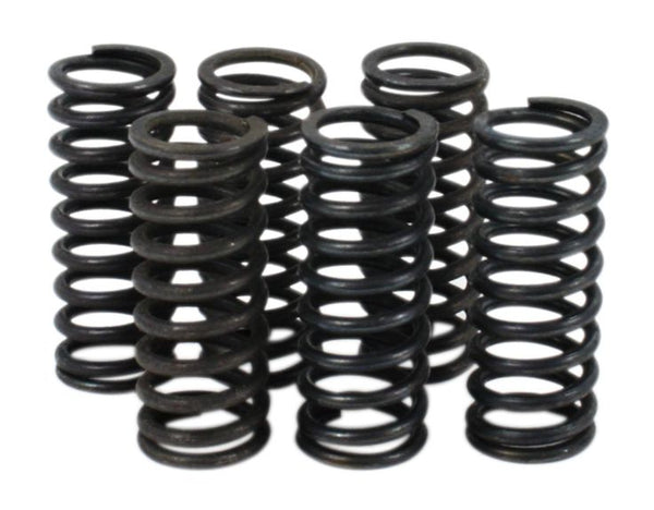 Suzuki GSX600 GSXR600 GSXR750 RF600 Clutch Spring Kit