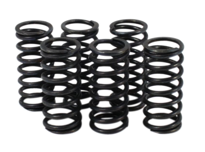 Clutch Spring Kit (39-1514)