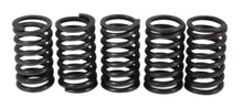 Lataa kuva Galleria-katseluun, Clutch Spring Kit (39-1515)