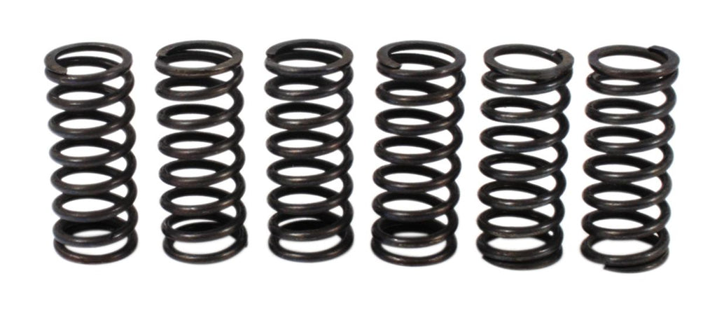 Clutch Spring Kit (39-1517)