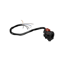 Load image into Gallery viewer, Bar Switch Assembly ~ Right (Brake) Side (12-0304)