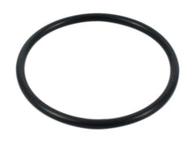 Load image into Gallery viewer, Intake Manifold O-Ring (Pk/2) (48-5020)