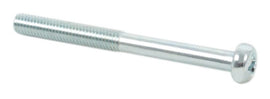 Phillips Head Screw (49-0063)