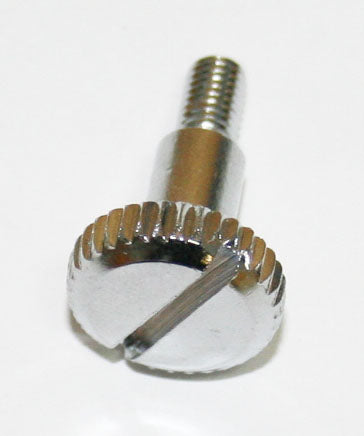 Throttle Adjusting Bolt