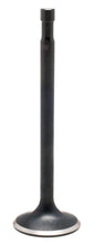 Lataa kuva Galleria-katseluun, High Performance Kibblewhite Black Diamond Exhaust Valve (73-1017)