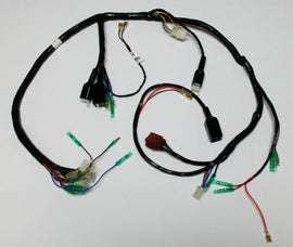 Main Wire Harness (99-4911)