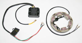 Charging Kit ~ Lithium Ion Version (99-4938)