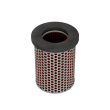 Load image into Gallery viewer, Air Filter (15-0064)
